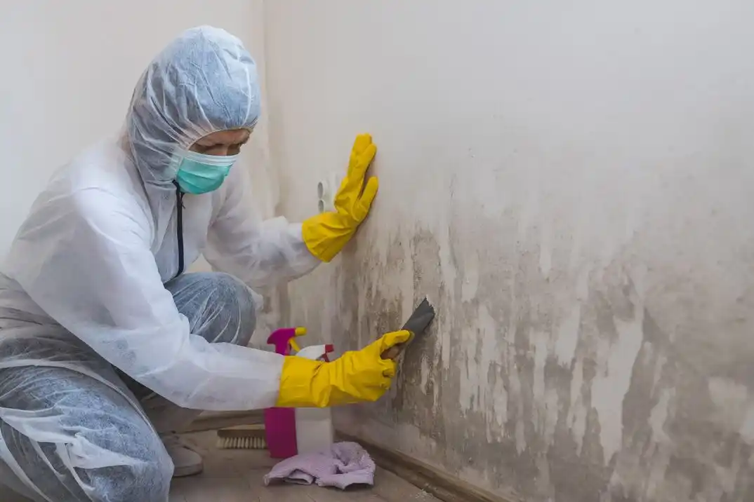 water damage restoration service Merrifield